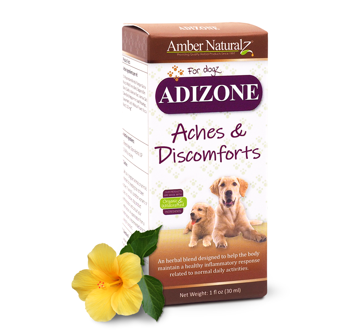 Adizone_1ozBox_AngleFrontHerb
