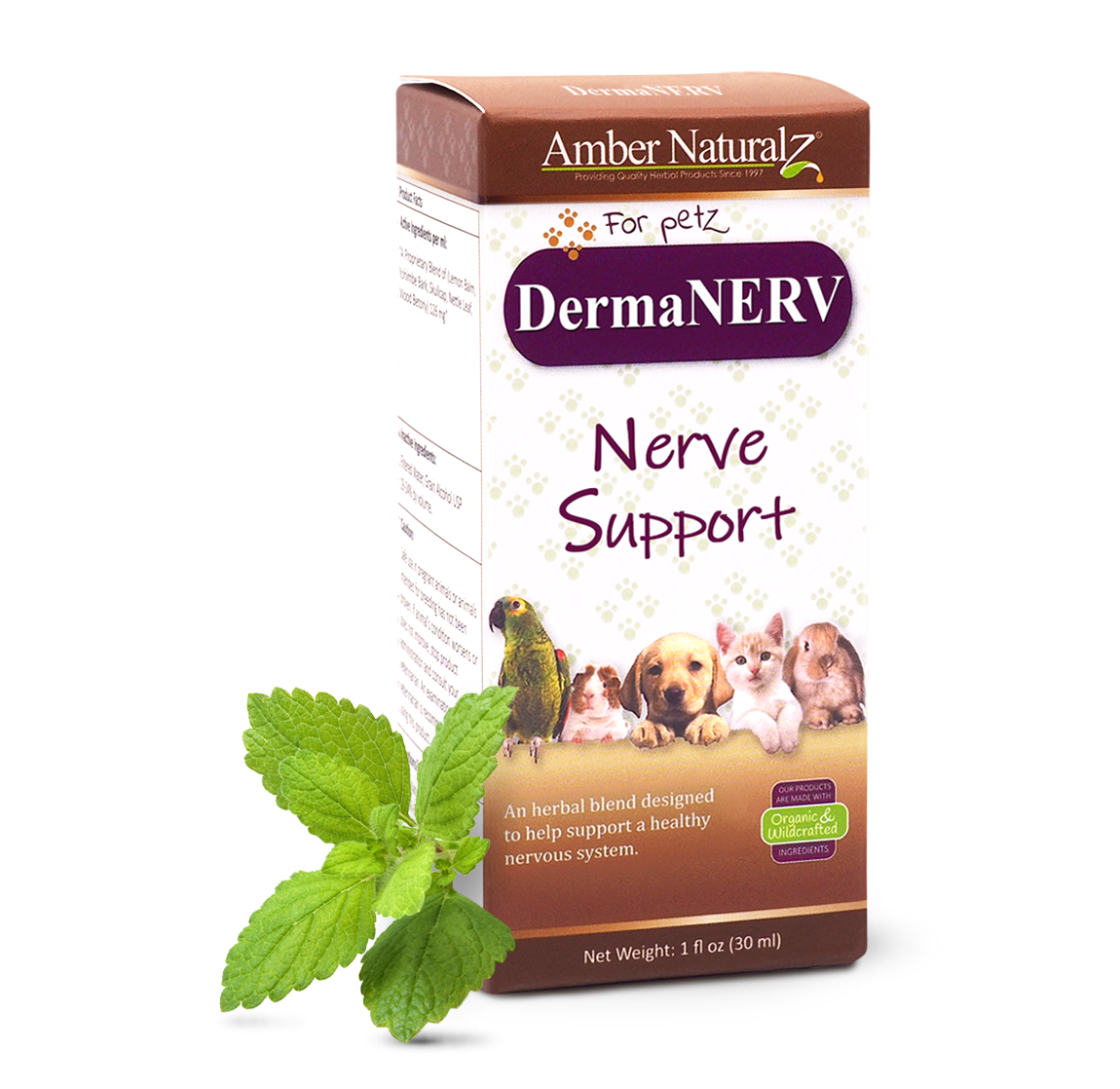 DermaNERV_1ozBox_AngleFrontHerb
