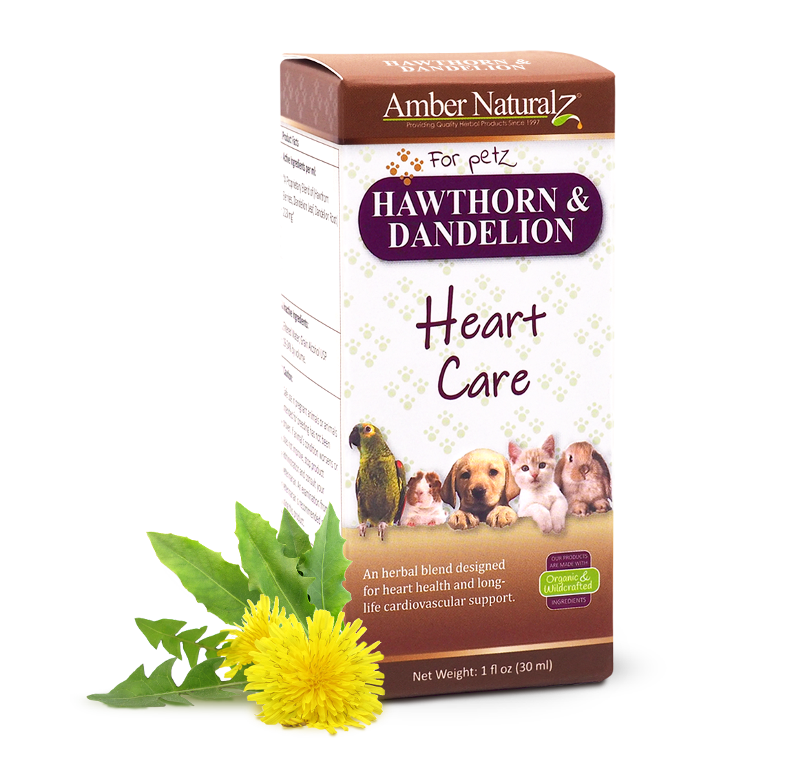 Hawthorn-Dandelion_1ozBox_AngleFrontHerb