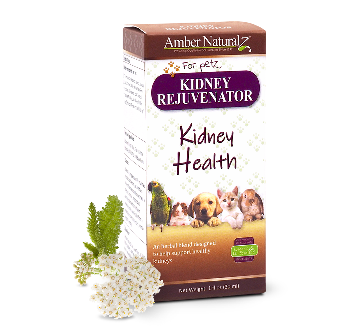 Kidney Rejuvenator