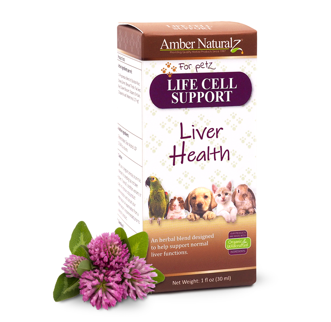 Life Cell Support