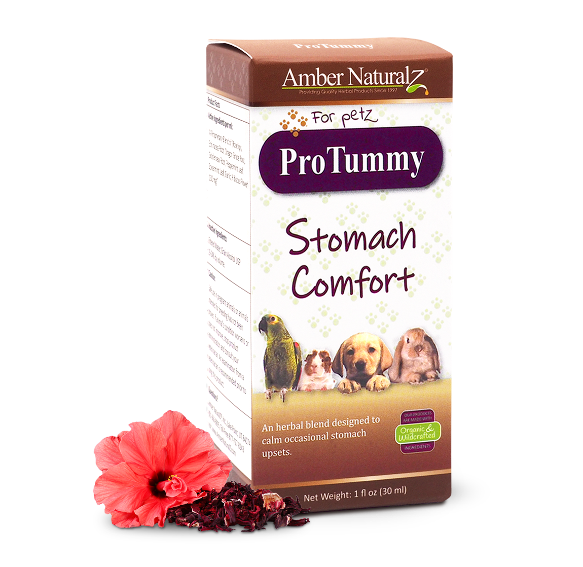 ProTummy_1ozBox_AngleFrontHerb
