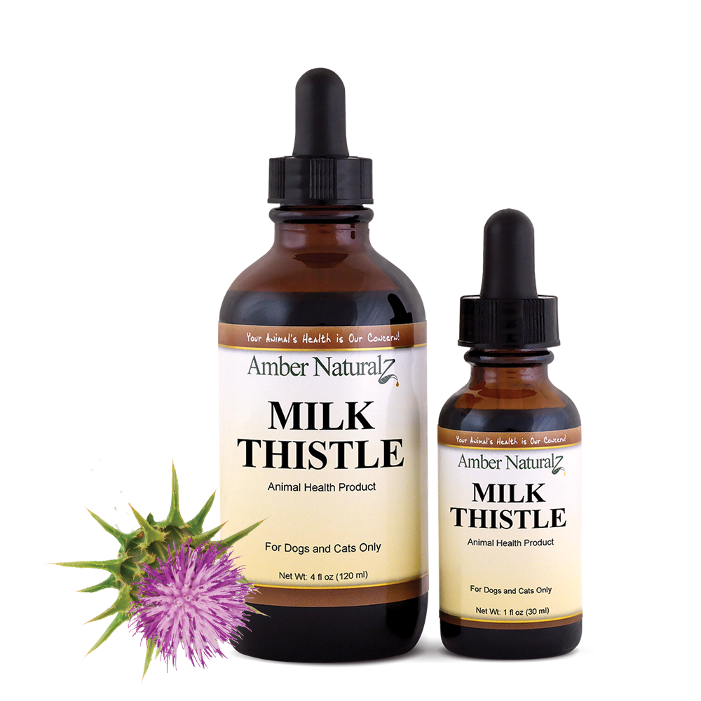 Milk Thistle